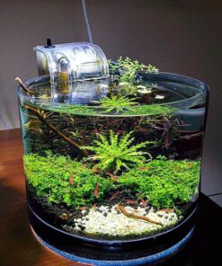 دنیای زیر آب AD10 Aquarium design