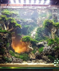 دنیای زیر آب AD12 Aquarium design