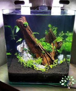 دنیای زیر آب AD16 Aquarium design