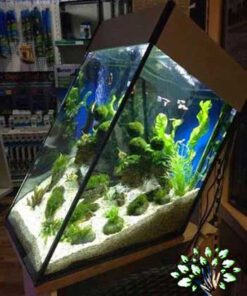 دنیای زیر آب AD17 Aquarium design