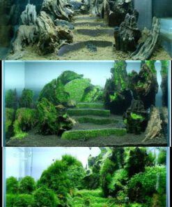 دنیای زیر آب AD19 Aquarium design