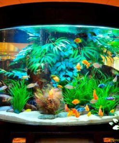 دنیای زیر آب AD2 Aquarium design
