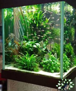 دنیای زیر آب AD20 Aquarium design