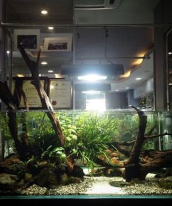 دنیای زیر آب AD22 Aquarium design