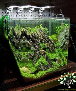 دنیای زیر آب AD27 Aquarium design