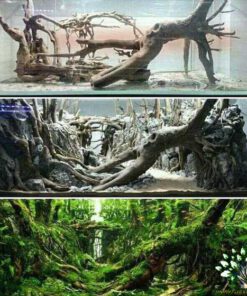 دنیای زیر آب AD28 Aquarium design