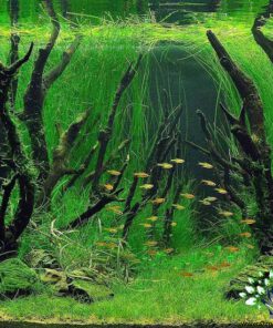 دنیای زیر آب AD29 Aquarium design