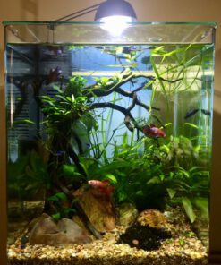 دنیای زیر آب AD3 Aquarium design