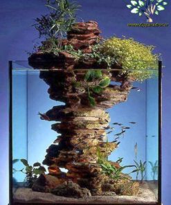 دنیای زیر آب AD34 Aquarium design