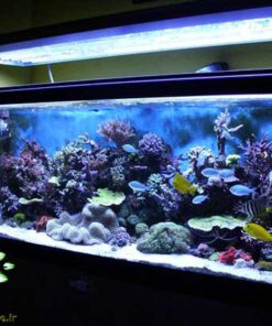 دنیای زیر آب AD37 Aquarium design