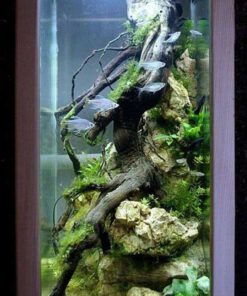 دنیای زیر آب AD39 Aquarium design