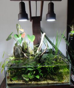 دنیای زیر آب AD4 Aquarium design