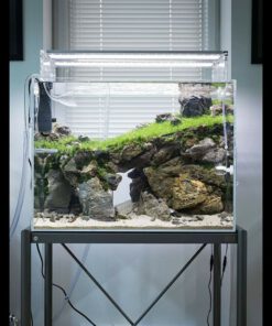 دنیای زیر آب AD42 Aquarium design