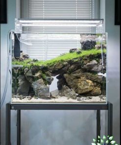 دنیای زیر آب AD43 Aquarium design