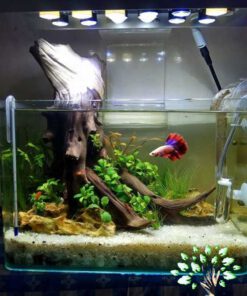دنیای زیر آب AD44 Aquarium design