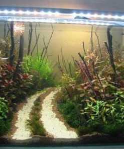 دنیای زیر آب AD46 Aquarium design