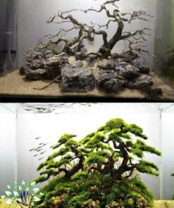دنیای زیر آب AD48 Aquarium design