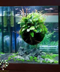 دنیای زیر آب AD49 Aquarium design