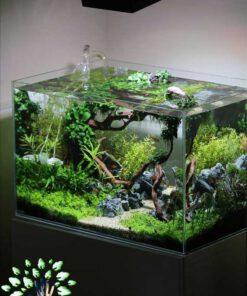 دنیای زیر آب AD5 Aquarium design