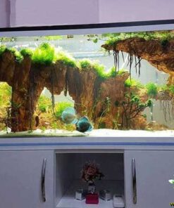 دنیای زیر آب AD50 Aquarium design