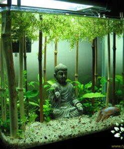 دنیای زیر آب AD51 Aquarium design
