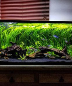 دنیای زیر آب AD6 Aquarium design