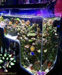 دنیای زیر آب AD7 Aquarium design