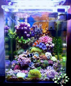 دنیای زیر آب AD9 Aquarium design