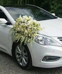 ماشین عروس گل طبیعی NFBC12 Natural Flower Bridal Car