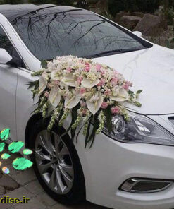 ماشین عروس گل طبیعی NFBC13 Natural Flower Bridal Car