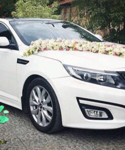 ماشین عروس گل طبیعی NFBC17 Natural Flower Bridal Car