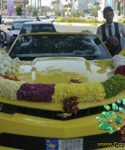 ماشین عروس گل طبیعی NFBC2 Natural Flower Bridal Car