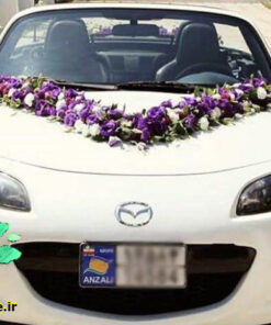 ماشین عروس گل طبیعی NFBC20 Natural Flower Bridal Car