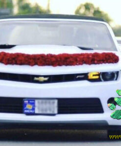 ماشین عروس گل طبیعی NFBC23 Natural Flower Bridal Car