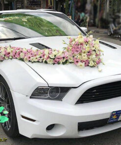ماشین عروس گل طبیعی NFBC27 Natural Flower Bridal Car