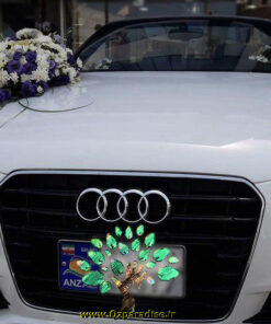 ماشین عروس گل طبیعی NFBC28 Natural Flower Bridal Car