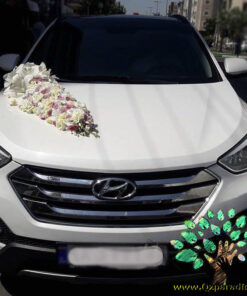 ماشین عروس گل طبیعی NFBC32 Natural Flower Bridal Car