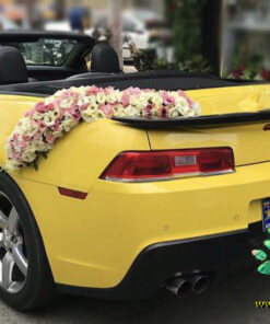 ماشین عروس گل طبیعی NFBC37 Natural Flower Bridal Car