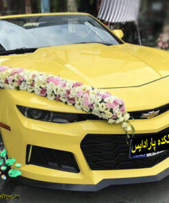 ماشین عروس گل طبیعی NFBC38 Natural Flower Bridal Car
