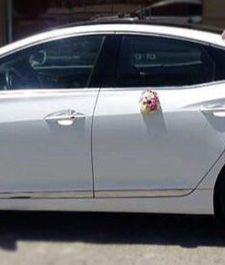 ماشین عروس گل طبیعی NFBC41 Natural Flower Bridal Car