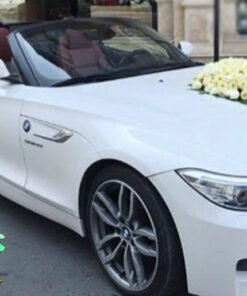 ماشین عروس گل طبیعی NFBC42 Natural Flower Bridal Car