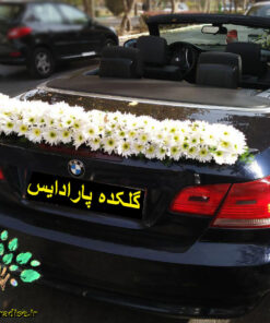 ماشین عروس گل طبیعی NFBC46 Natural Flower Bridal Car