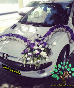 ماشین عروس گل طبیعی NFBC48 Natural Flower Bridal Car