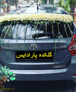 ماشین عروس گل طبیعی NFBC51 Natural Flower Bridal Car