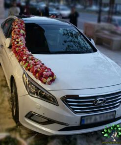 ماشین عروس گل طبیعی NFBC58 Natural Flower Bridal Car