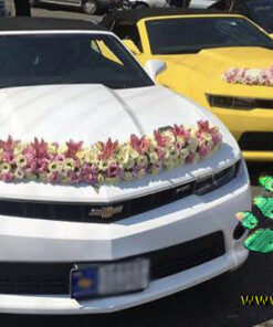 ماشین عروس گل طبیعی NFBC7 Natural Flower Bridal Car