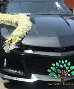 ماشین عروس گل طبیعی NFBC9 Natural Flower Bridal Car