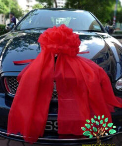 ماشین عروس با تور BCWT12 Bridal Car with Tour