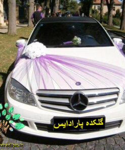 ماشین عروس با تور BCWT19 Bridal Car with Tour