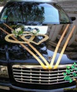 ماشین عروس با تور BCWT24 Bridal Car with Tour